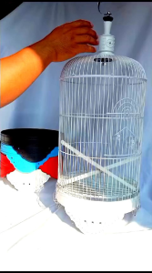 tebok pleci dragon dm 27 / tebok nya saja