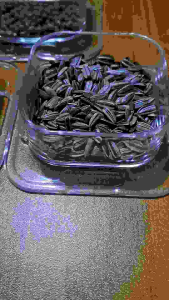 FEEDING DISH BAHAN AKRILIK - TEMPAT MAKAN HAMSTER & HEWAN KECIL《PICTURE#2》