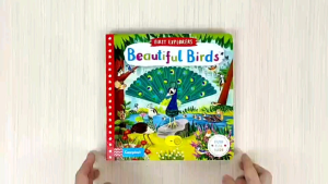 Campbell First Explorers Beautiful Birds Board Book Push Pull Slide