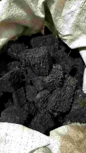 akar pakis 1kg potong siap pakai