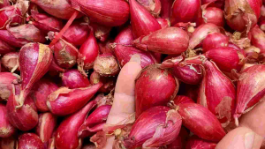 Hành Tím LÝ SƠN - Loại 1 - Hàng chính gốc Đảo LÝ SƠN - Túi 1ký