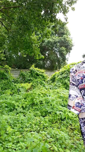 View Vi Shop มอไซด์คลาสสิค เสื้อเชิ้ตวินเทจ ผ้าไหมอิตาลีใส่สบายไม่ต้องรีด เสื้อเชิ้ตแขนสั้น เสื้อเชิ้ตแฟชั่น