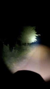 TOTAL ไฟฉาย สปอร์ตไลท์ LED 2000 ลูเมน TWLI20881 / TWLI2088