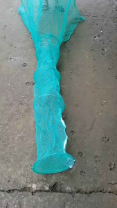 Dớn Đặt chuyên bắt cálươntrạch Siêu nhạy cá.