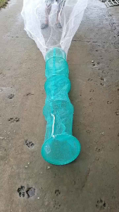 Dớn bắt cá MIỀN TÂY siêu chạy cá.