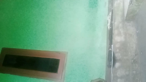 COD GOLOK TEBAS UKIR MACAN PANJANG BILAH 30CM SUPER TAJEM ASLI BAJA PER