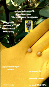 geliga harimau putih permohonan siap buat loket/rantai leher 100% asli dijamin