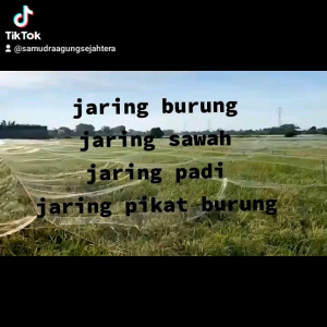 jaring burung padi burung emprit gereja pipit dll jaring sawah bonus tali