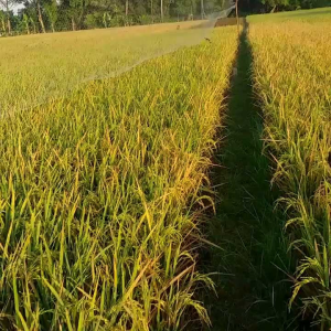 COD Jaring Burung Hitam Tinggi 25 Meter Panjang 90 Meter Bonus Tali Pikat Burung atau Perangkap Burung Empritbondolkolibri Kutilang dll Murah