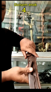 Golk Sembelih Hewan Sapi Kerbau Kambing Bahan Baja Per Sepuh Original