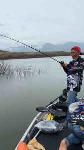 Black Panther 10-20 LB Skinless Crab Meat (เวท 10-20 LB)