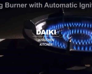 ICOOK 21-A Automatic Ignition Heavy Duty Cast Iron Burner Gas Stove