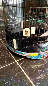 sangkar kacer D 50cm tebok ceper bambu decal airbrush one-piece merk D&R