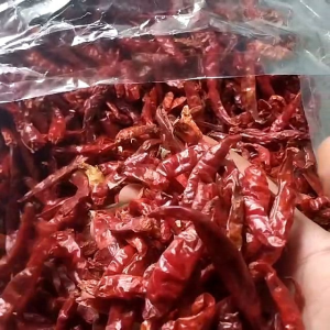 Cabe Rawit TEJA Kering Kualitas ((PREMIUM)) Bagus Pedas (Tanpa Tangkai)