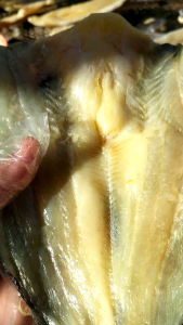 Khô cá dứa xẻ rút xương 3 nắng vị ít mặn vừa ăn thịt giòn béo thơm ngon