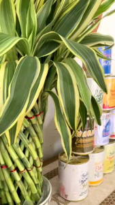 souvenir celengan anak hampers tema lebaran idul fitri