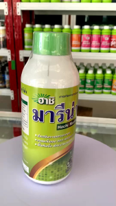 สาหร่ายสีเขียว + อะมิโน (Amino) (ฟื้นต้นหลังเก็บเกี่ยว ทำใบ เปิดตาดอก) ขนาด 1 ลิตร ตราหมึกดำ เปิดตาใบ เพิ่มเซลล์ สร้างรากใหม่ ตาใบ ตาดอก เปิดตาดอก