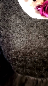 DRESS LENGAN PANJANG HITAM UNTUK ACARA & KERJA