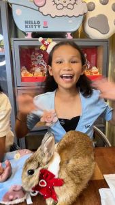 2025/26 Xmas CNY Adjustable Pet’s Collar for cats small breed dogs and small animals