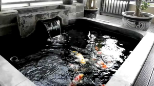 HOKKY KOI Fish Food WHEAT GERM HOKKY Fish Food WHEAT GERM Makanan Hewan Air Ikan Koi Pakan Ikan Koi HOKKY WG Pelet Ikan Koi HOKKY Kemasan Dos Isi 6 pcs