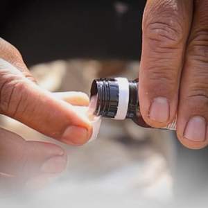 โดสซีโอ2