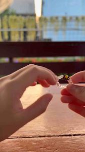 (ขั้นต่ำ 2 ชิ้น คละสีได้)  แหวนลูกปัดดอกไม้ A16 แหวนลูกปัด ให้เป็นของขวัญวันเกิด ของแถมจีบลูกค้า ของแจกวันปัจฉิมให้เพื่อน : flower ring