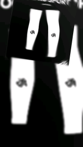 ยี่ห้อ JASPORT ถุงเท้าตัดข้อ