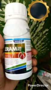 Herbisida ZERAM 250 EC (250ml)