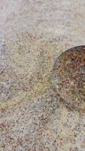 Sốt muối tiêu đen ngũ vị chai 500 gram loại 1