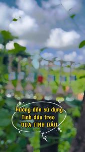 Tinh Dầu Treo Xe Ô Tô Khử Mùi Xe Hơi 8ml VUATINHDAU Tinh Dầu Thơm Treo Xe Treo Thơm Phòng Thơm Tủ Quần Áo