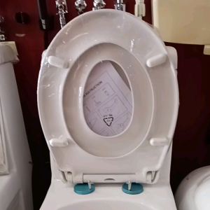 Westrend 2 in 1 seat and cover with chilfren or adult soft closed pp material