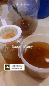Madu Hutan Asli Dijamin 100% Asli lebah Hutan 500gr