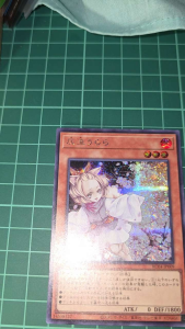YUGIOH Japanese RC04-JP009 SD47-JP015 SD48-JP017 TT01-JPC04 日纸 JP PRINT 灰流麗 Ash Blossom & Joyous Spring (N) (UR) (SER)