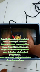 Alat Terapi Ion Elektrik Paket 2 Array / Felialle