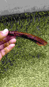 pahul ruyung mini pegangan joran pancing mini 15cm