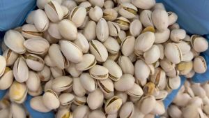 พิสตาชีโอ อบ พร้อมรับประทาน 70กรัม/140กรัม