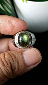 cincin batu permata labrador real picture