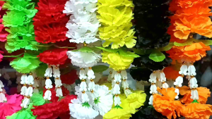 พวงมาลัยดาวเรือง