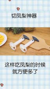 菠萝削皮神器 (1个) Pineapple Peeler #喜欢吃菠萝又不会削皮的看过来咯✨，这个切菠萝神器方便快捷，旋转几下就脱皮切好片#🌈