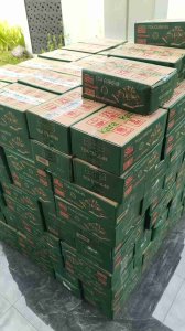 Santan Sun Kara 65ml per dus isi 36