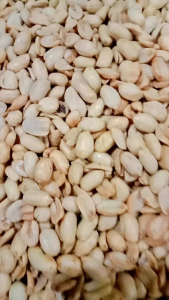 kacang bawang goreng renyah gurih/500gram