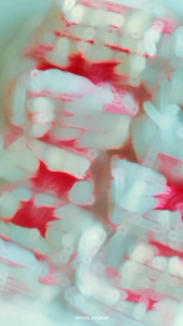 SNACK KILOAN SAGON BAKAR | CEMILAN MURAH MAKASSAR