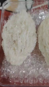 House Nest 如燕屋燕 4pcs( Per Box)— Per Piece 35g+/-