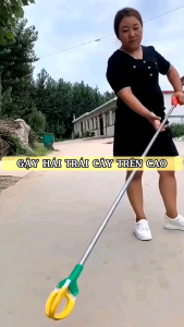 Kéo Hái Quả Dụng Cụ Chụp Hái Trái Cây Trên Cao Đa Năng