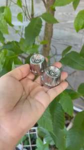 Gù inox gù tay lái dùng cho AB Vario Vision kèm 2 ốc Lục giác thường