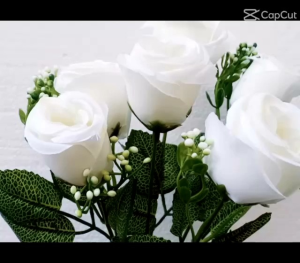 Mawar Kuncup Tropis Menir K6 Lusinan 12 Tangkai