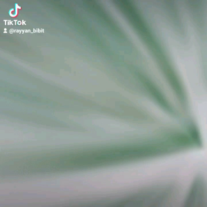 Pupuk Saprodap Kemasan Repack & Pertumbuhan Tanaman