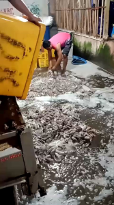 alat umpan pancing gurita termurah tergacor