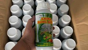 Phân bón vi lượng AMINO RONG BIỂN chai 500 ml. Mát cây Mập đọt Xanh lá Tốt trái Hạ Phèn Kích rễ Giải độc cho cây