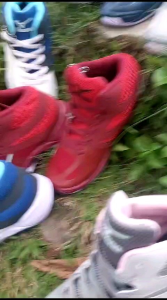 Sepatu Mizuno Wave Thunder Blade 2 Mid Sepatu Voli Mizuno Thunder Blade 2 Mid Sepatu Volly Mizuno Thunder Blade 2 Mid Sepatu Volley Mizuno Thunder Blade 2 Mid Sepatu Voli Sepatu Volley Sepatu Volly Sepatu Olahraga Lari Sepatu Mizuno Wave Thunder Blade 2
